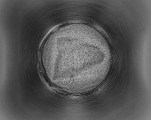 X0000086980852200705071415