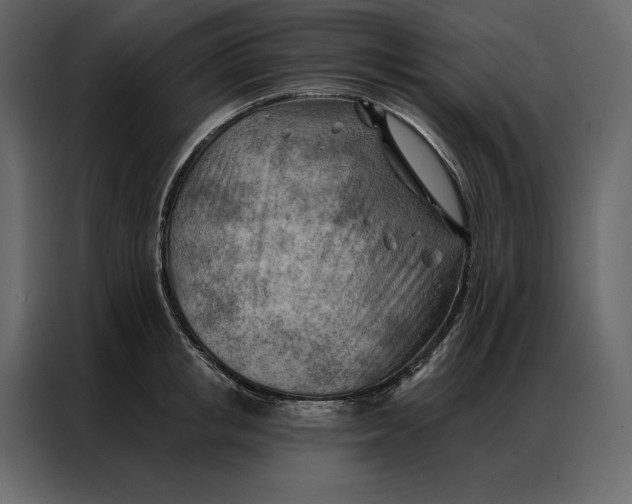 X0000086980853200705071415