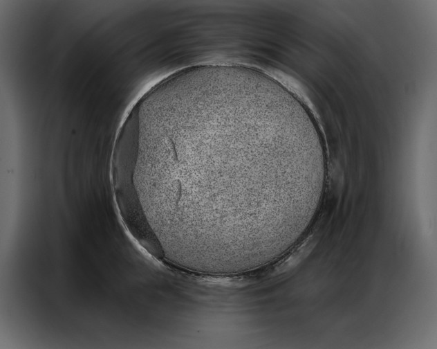 X0000086980855200705071415