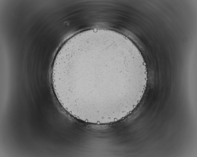 X0000086980856200705071415