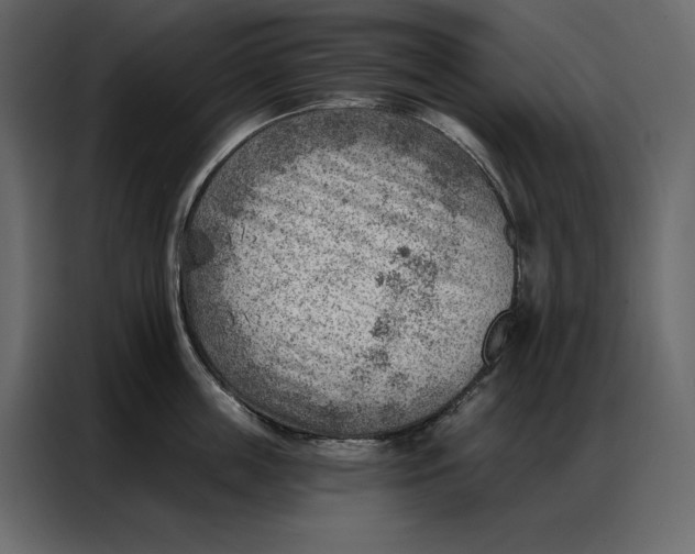 X0000086980859200705071415