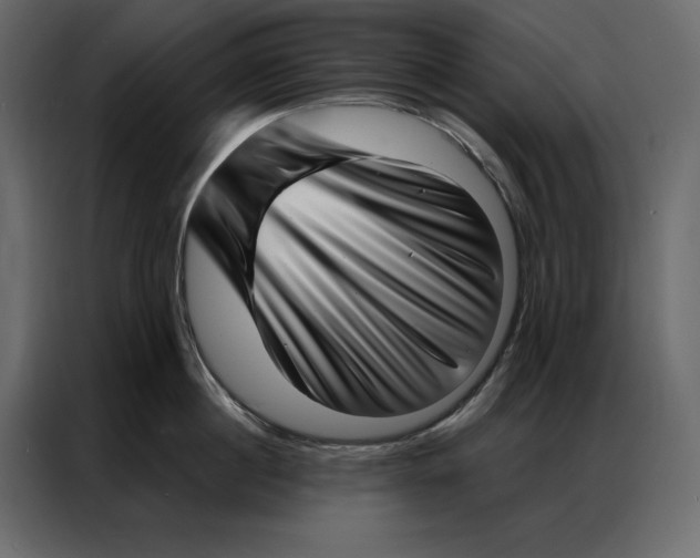 X0000086980860200705071415