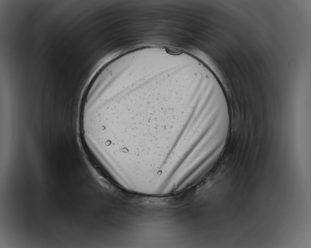 X0000086980861200705071415