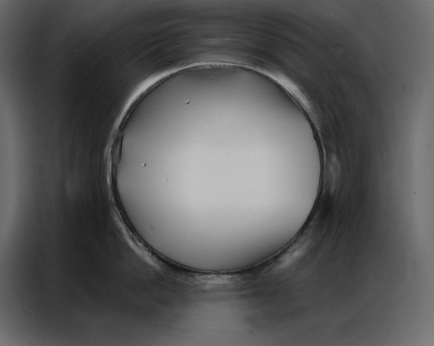 X0000086980862200705071415