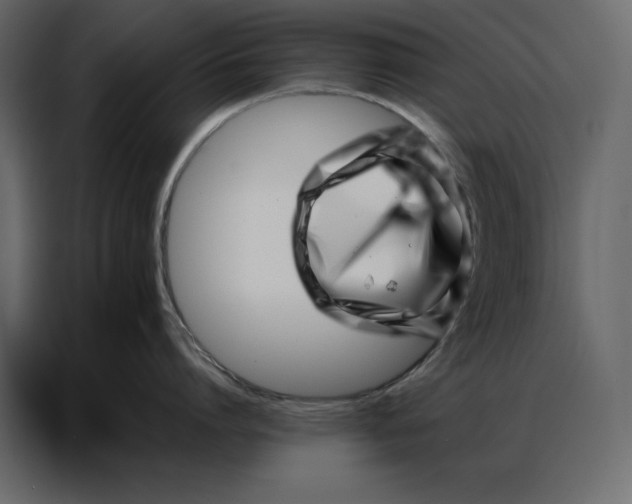 X0000086980864200705071415