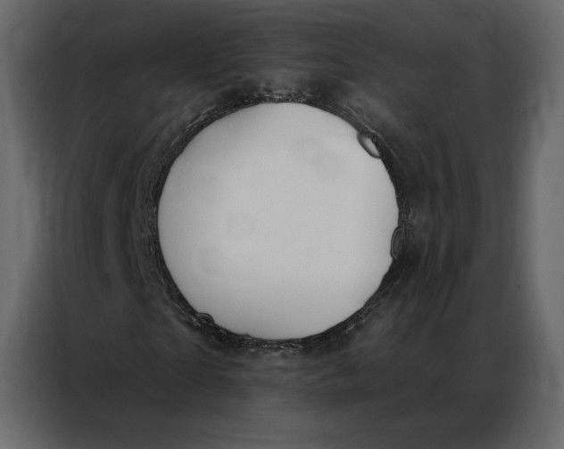 X0000086980865200705071415