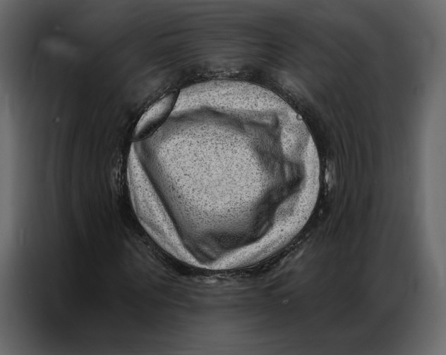 X0000086980867200705071415