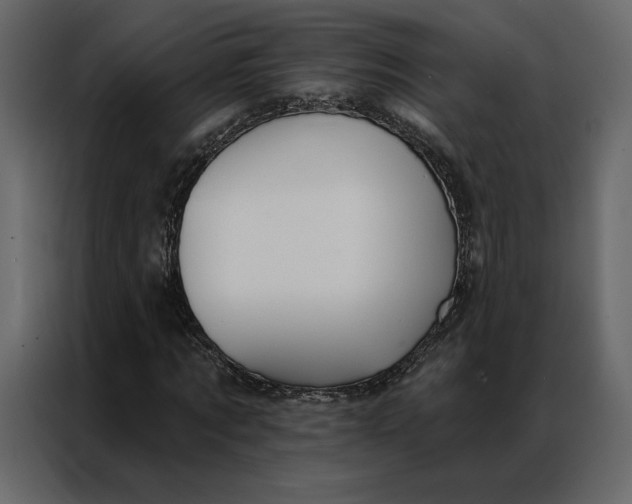 X0000086980869200705071415