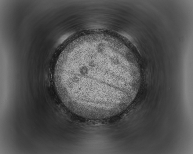 X0000086980871200705071415