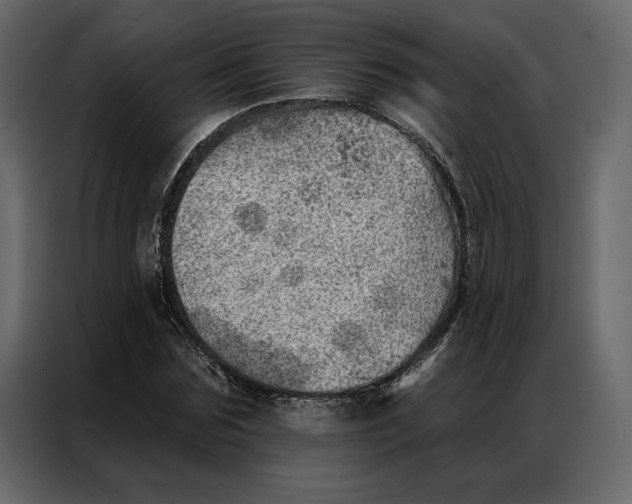 X0000086980875200705071415