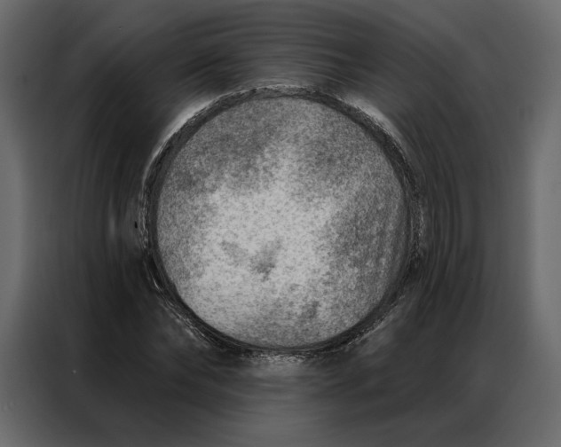 X0000086980878200705071414