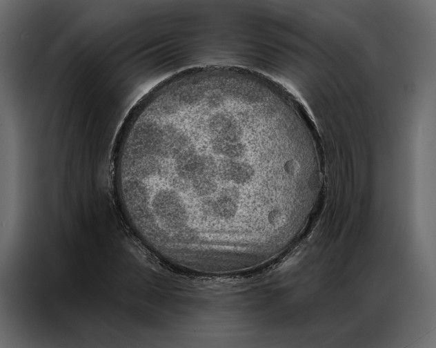 X0000086980879200705071414