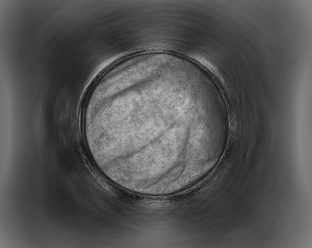 X0000086980886200705071414