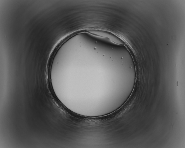 X0000086980888200705071414