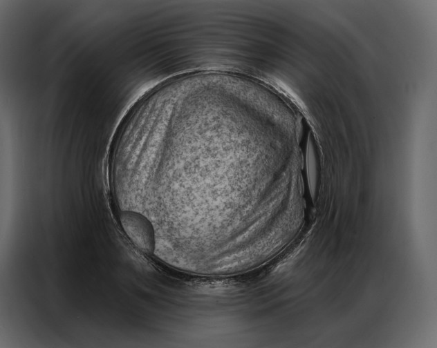 X0000086980891200705071414