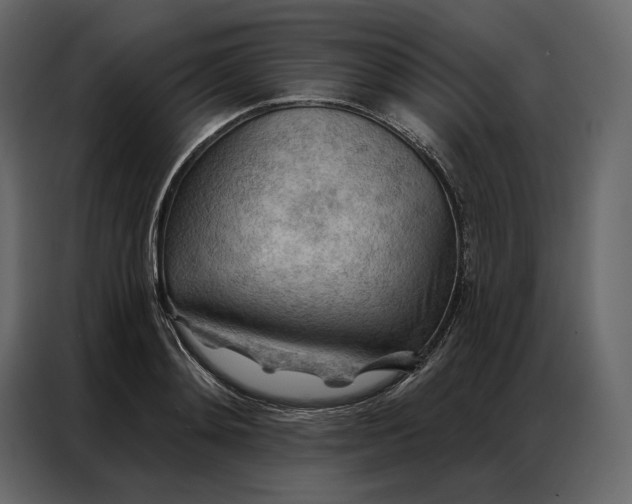 X0000086980892200705071414