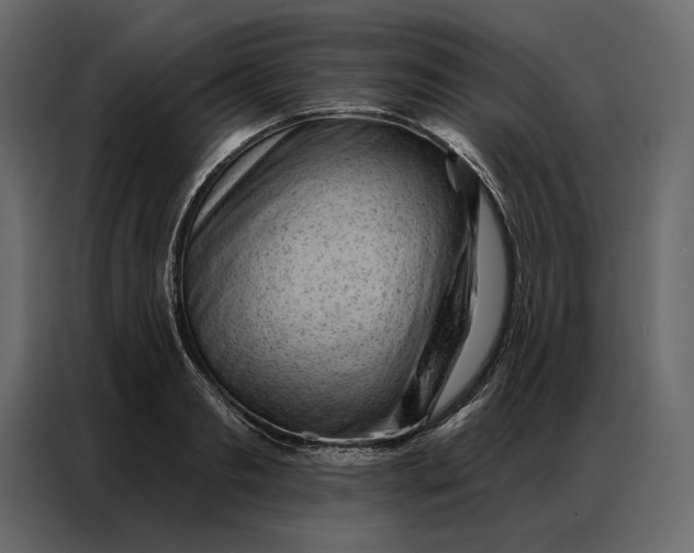 X0000086980893200705071414