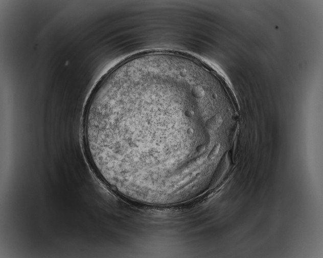 X0000086980895200705071414