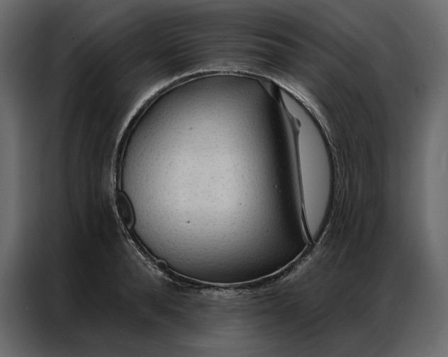 X0000086980896200705071414