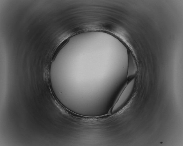 X0000086980897200705071414