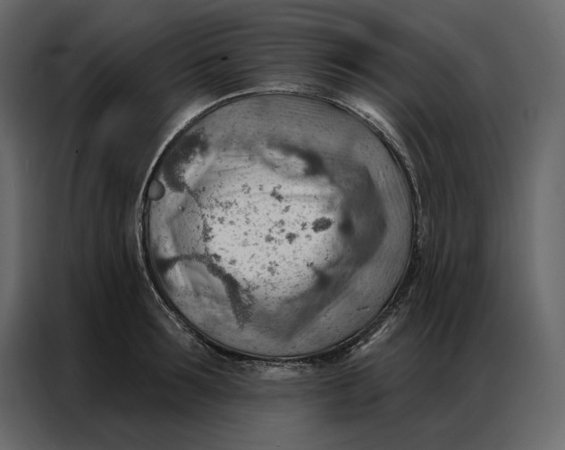 X0000086980899200705071414