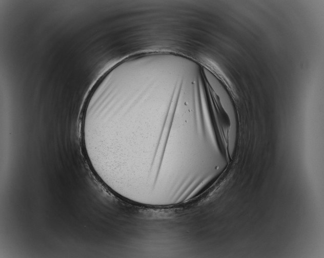 X0000086980900200705071414