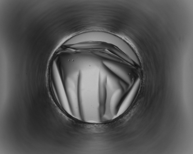 X0000086980902200705071414