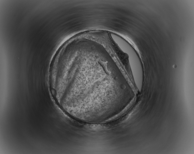 X0000086980903200705071414