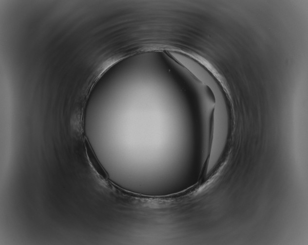 X0000086980905200705071414