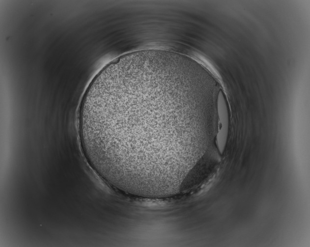 X0000086980907200705071414