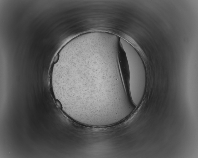 X0000086980908200705071414