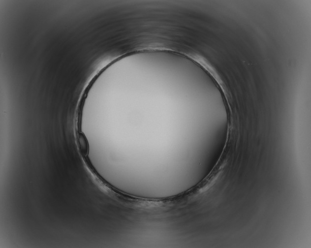 X0000086980909200705071414