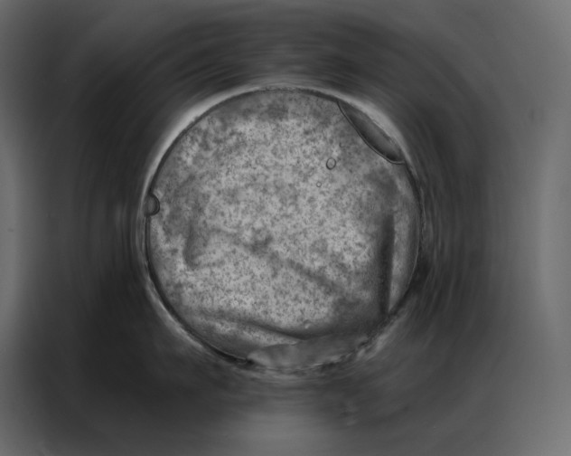 X0000086980911200705071414