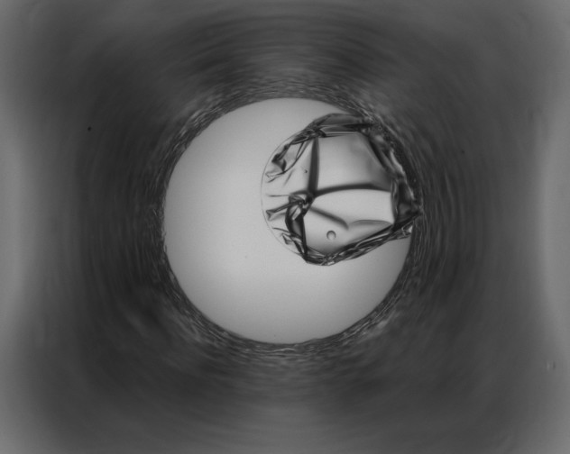 X0000086980916200705071413