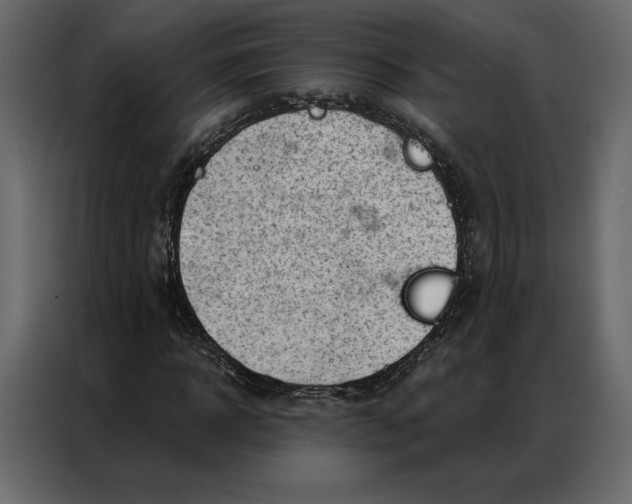 X0000086980918200705071413