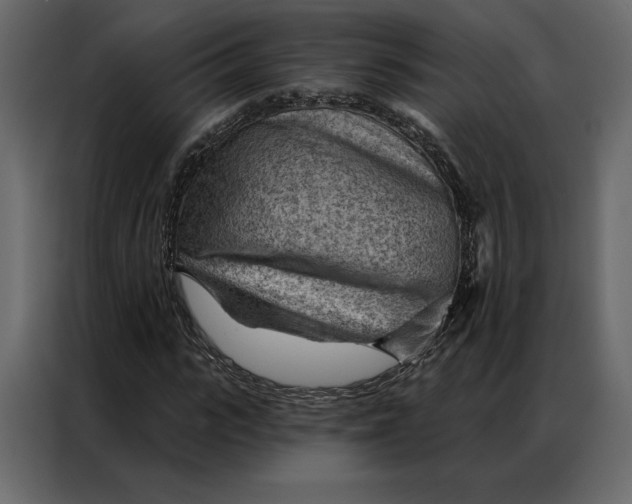 X0000086980919200705071413