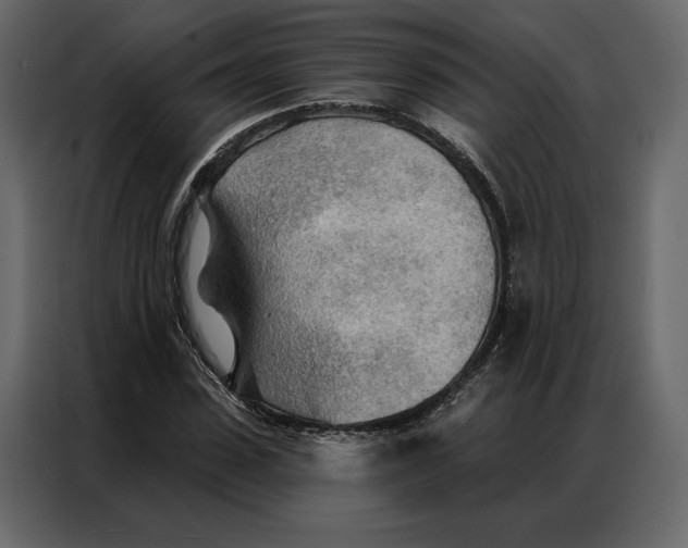 X0000086980923200705071414