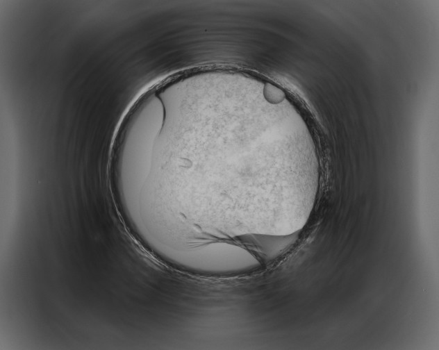 X0000086980924200705071414