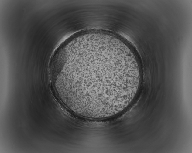 X0000086980925200705071414