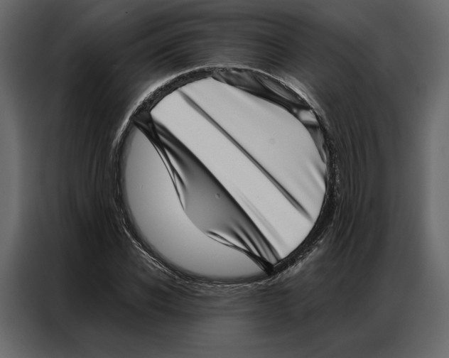 X0000086980926200705071414