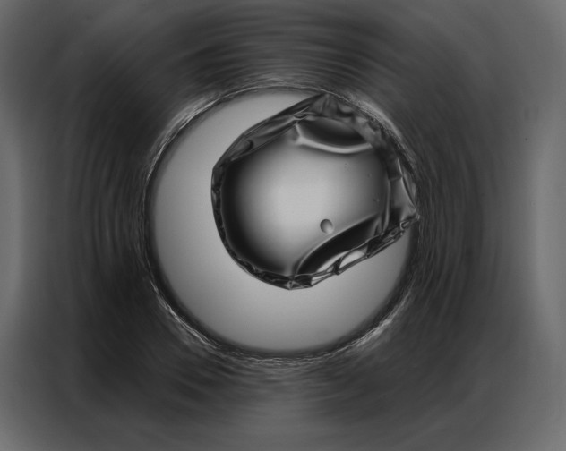 X0000086980930200705071414