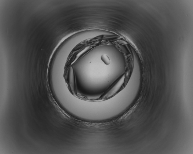 X0000086980932200705071414