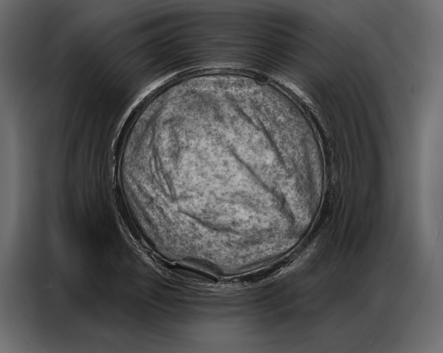 X0000086980933200705071414