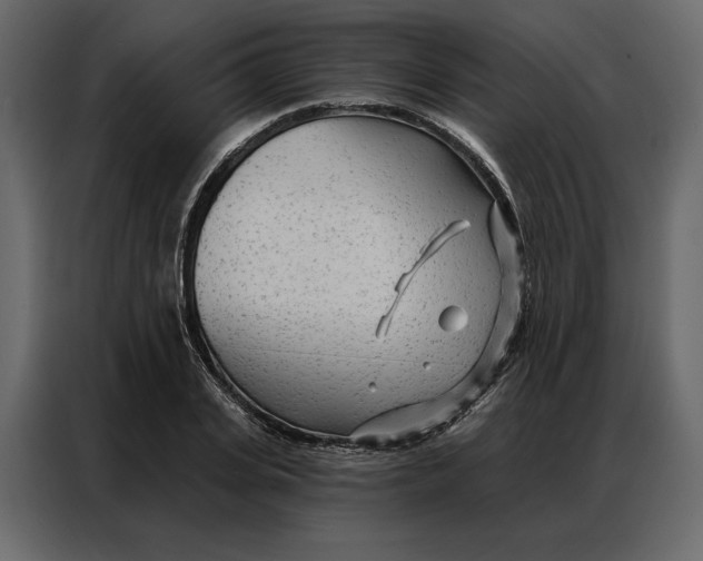 X0000086980935200705071414