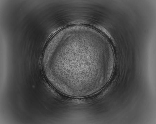 X0000086980937200705071414