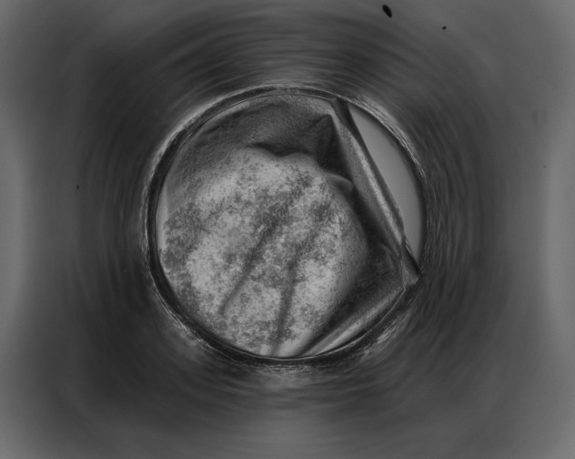 X0000086980939200705071414