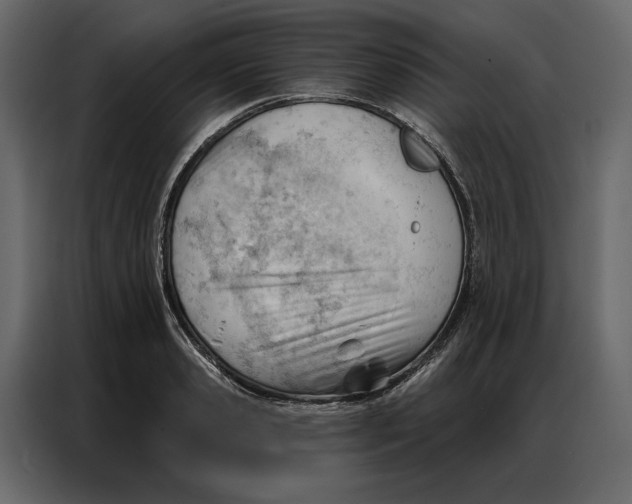 X0000086980941200705071414