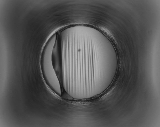 X0000086980942200705071414