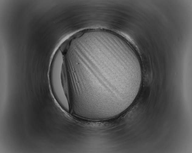 X0000086980943200705071414