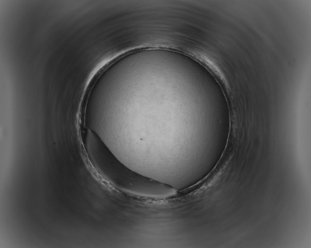 X0000086980944200705071414